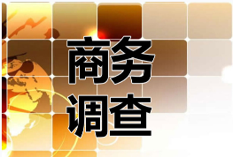 成都私人调查